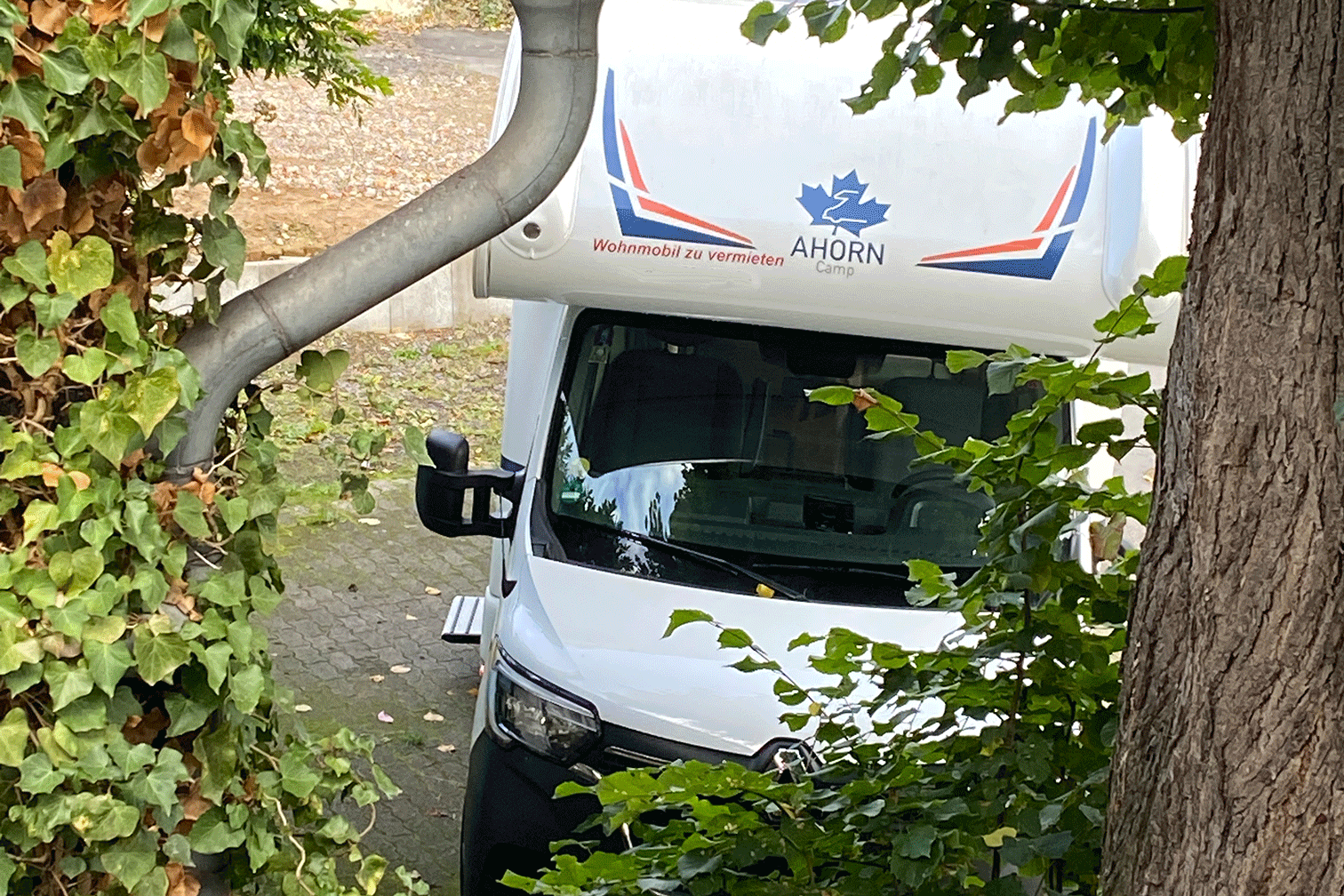 Womo hinter einem Baum