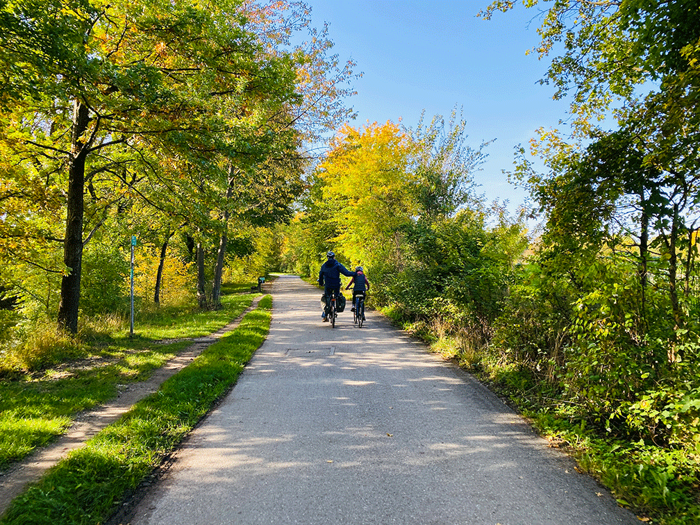 Vater und Tochter auf Rädern auf einem breiten baumbestandenen Weg