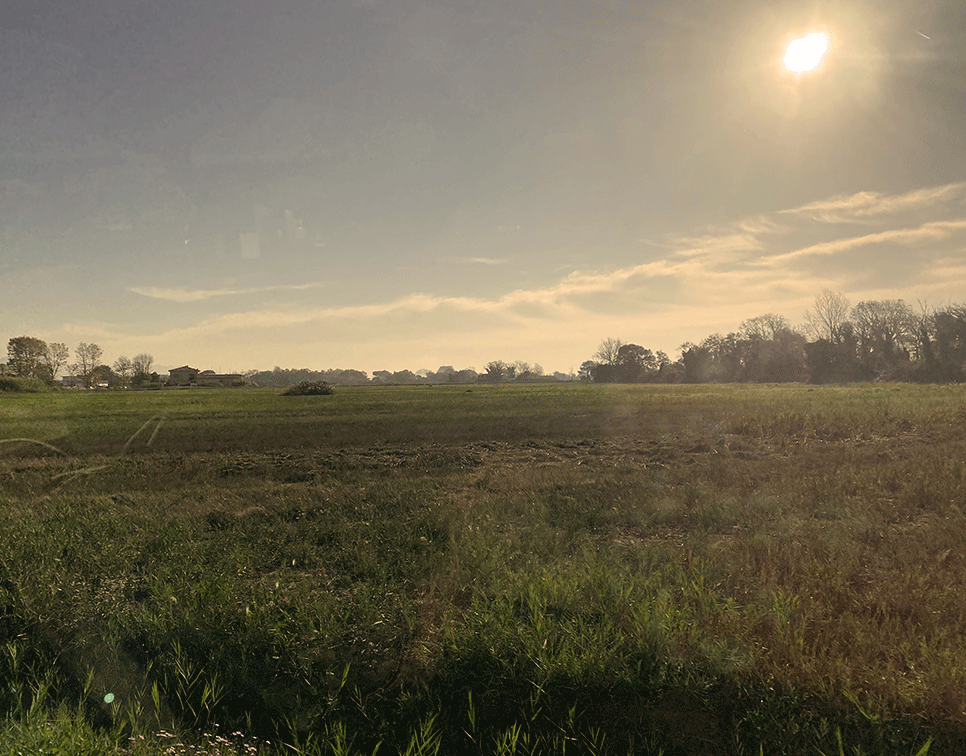 Po Ebene in der Sonne